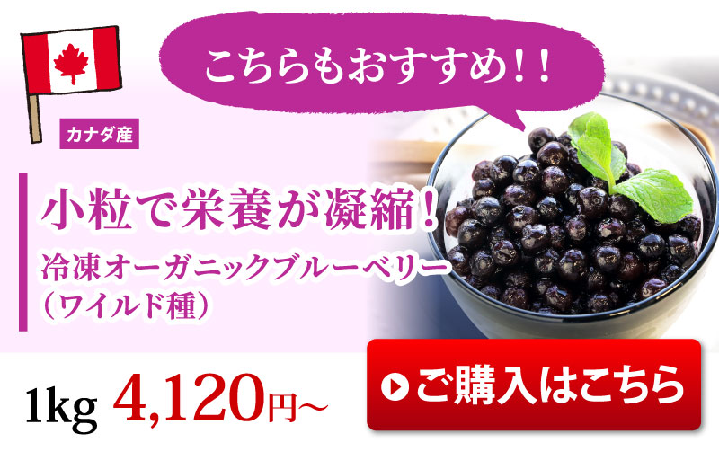 単品でのご購入はこちら！オーガニックワイルドブルーベリー