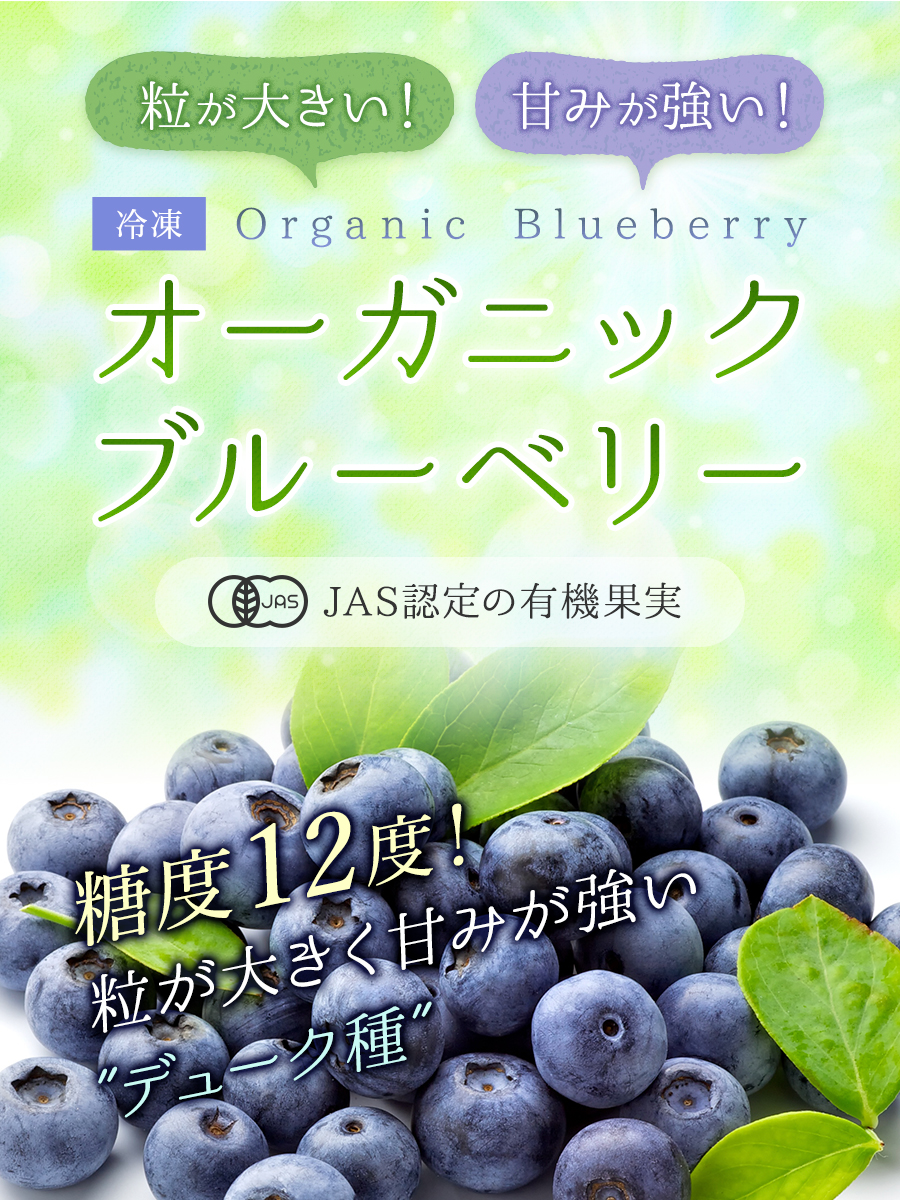 3月21日以降出荷予定】 無農薬 冷凍オーガニックブルーベリー1kg（200g