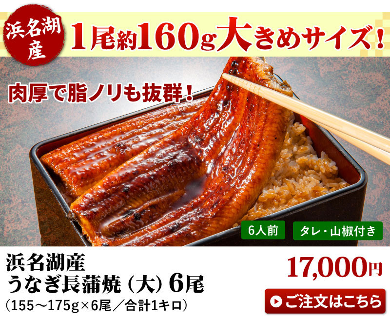 ご自宅用うなぎ蒲焼｜国産うなぎの通販 大五うなぎ工房