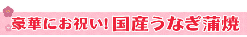 国産うなぎ蒲焼