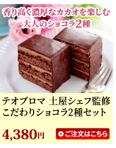 ガトーショコラ＆ケイクショコラセット