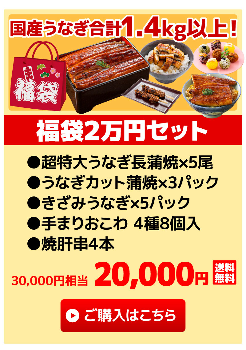 福袋2万円セット