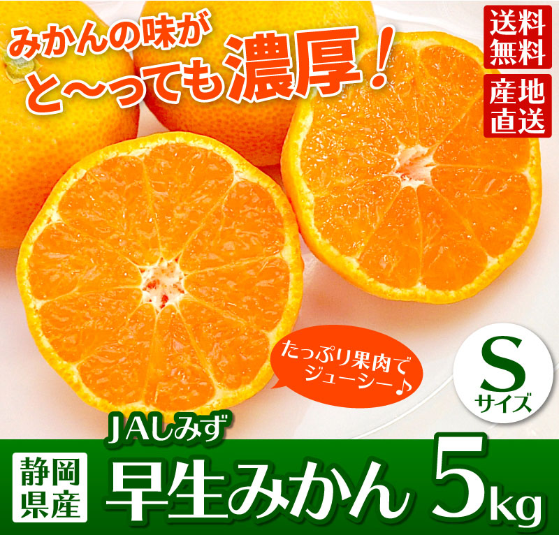 早生みかん5kg Sサイズ 静岡県産 JAしみず ｜ 大五グルメセレクション