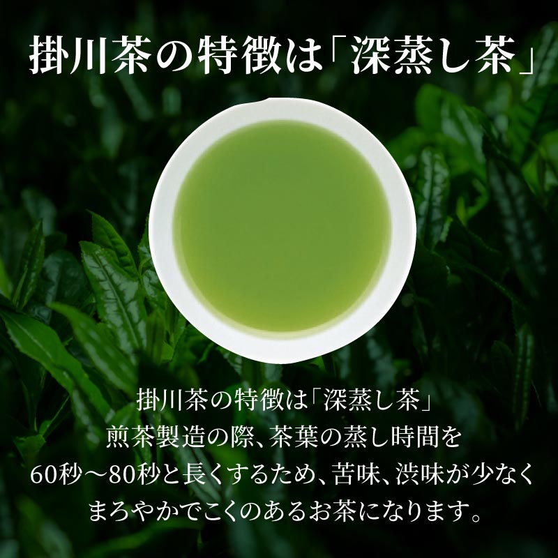 74％以上節約 掛川茶 静岡 深蒸し茶 掛川産 日本茶 業務用