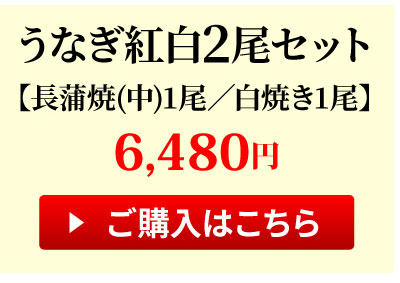 紅白うなぎ2尾セット