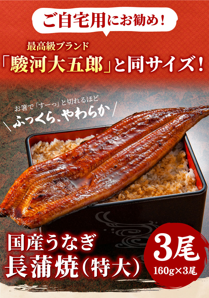 国産うなぎ長蒲焼（特大）3尾セット