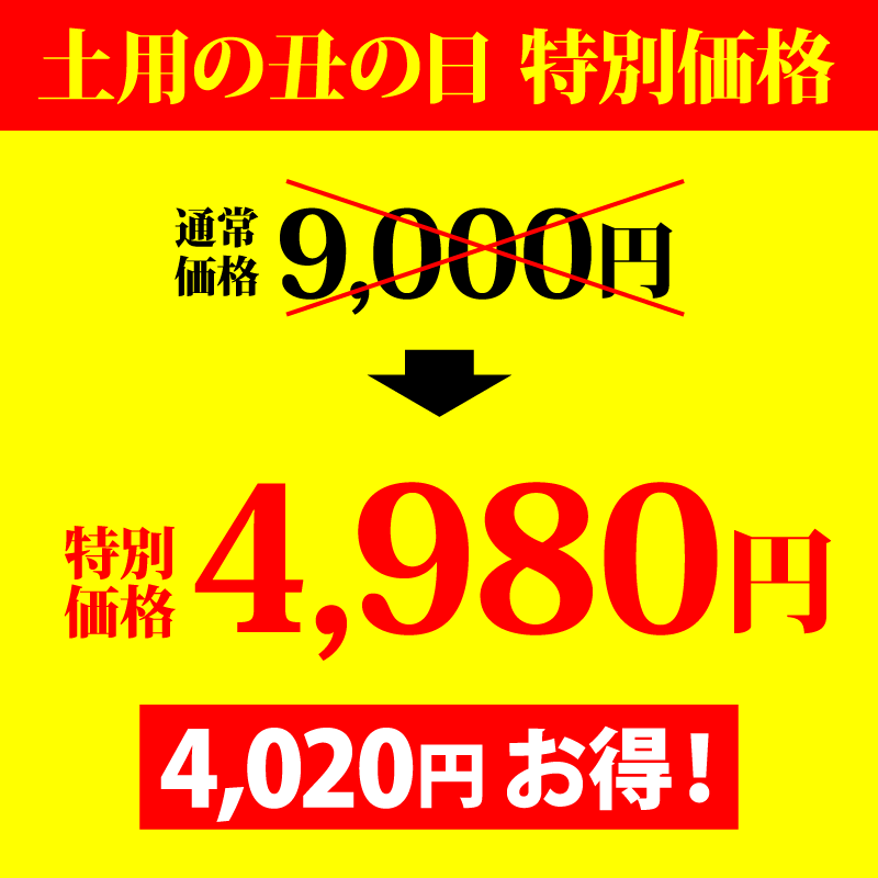 セール価格