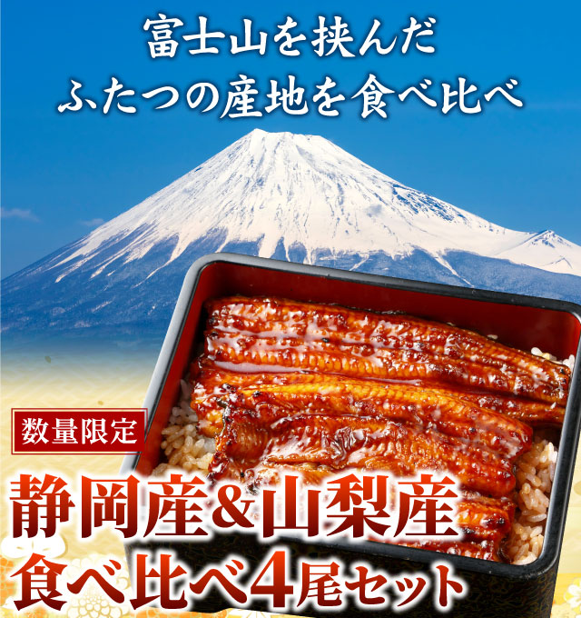 活 うなぎ 国産(愛知または静岡産) １０尾 1尾 約250g前後 5Pサイズ 鰻