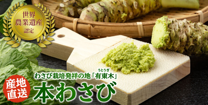 本わさび