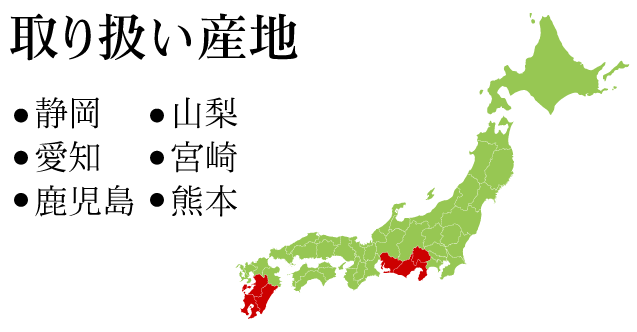 産地：静岡、山梨、愛知、宮崎、鹿児島、熊本