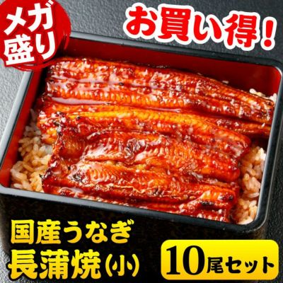 メガ盛り長蒲焼1kgセット