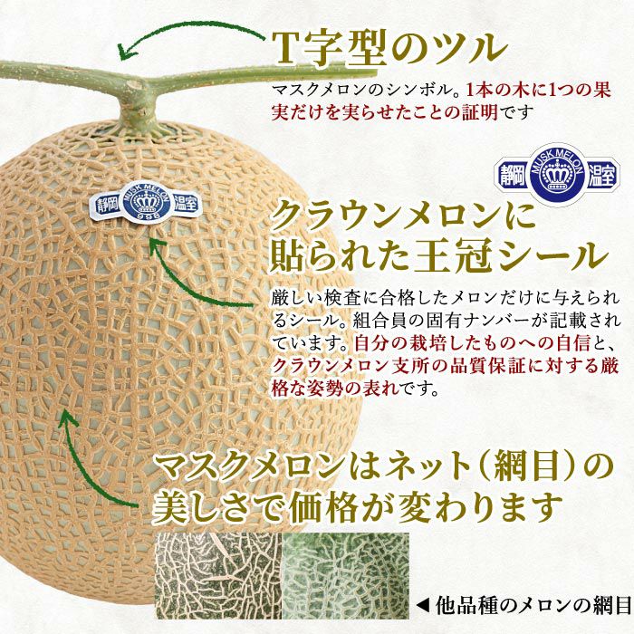 静岡県産マスクメロン クラウンメロン 1 2kg 1玉 メロンの通販なら大五うなぎ工房本店