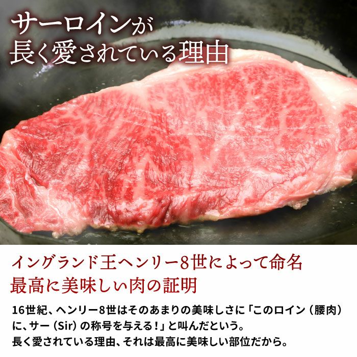 黒毛和牛 しずおか和牛 サーロインステーキ400g ｜ しずおか和牛
