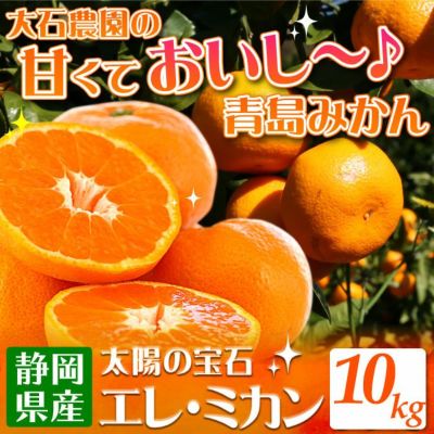 静岡県産みかんの定番 青島みかん10kg エレ・ミカン 送料無料 大五