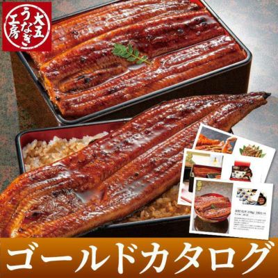 五月うなぎ WGC 開催記念冊子 新品未開封 会場限定 完売 終売 コミックマーケット100｜中外鉱業株式会社 | Chugaionline