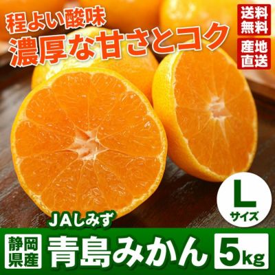 静岡県産JAしみずの青島みかん 5kg Lサイズ 送料無料 みかんのお