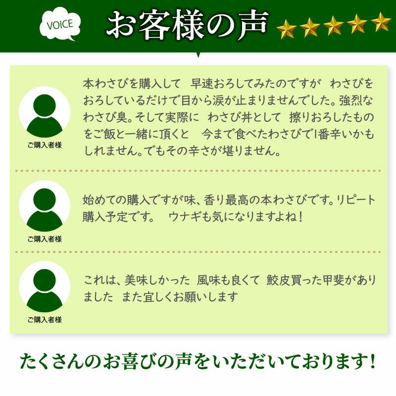 わさび栽培発祥の地「有東木」の本わさび 中サイズ1本 ｜ ワサビのお取り寄せなら大五うなぎ工房本店