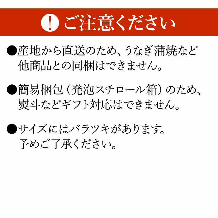 わさび栽培発祥の地「有東木」の本わさび 中サイズ1本 ｜ ワサビのお取り寄せなら大五うなぎ工房本店