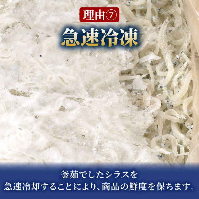 最大61％オフ！ FF 無添加 シラス 静岡県産 業務用たっぷり1kg 食べ