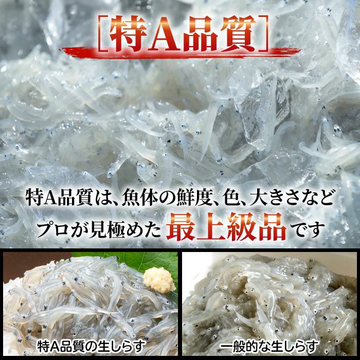 市場 生しらす お買い得 100g×10パック 業務用 獲れたての味をご自宅にお取寄せ