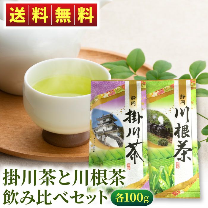 掛川茶（深蒸し）と川根茶（浅蒸し）各100g 飲み比べセット ｜ 大五