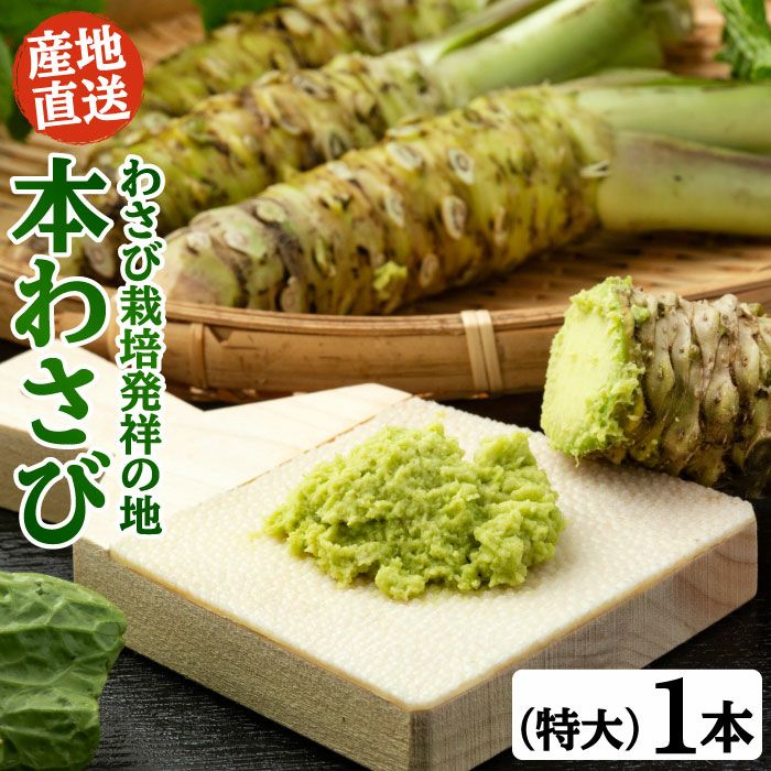 生わさび1kg大小混合