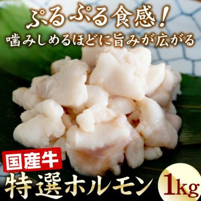 服部中村養べつ場 浜名湖の極上すっぽん鍋セット 400g（甲羅付き