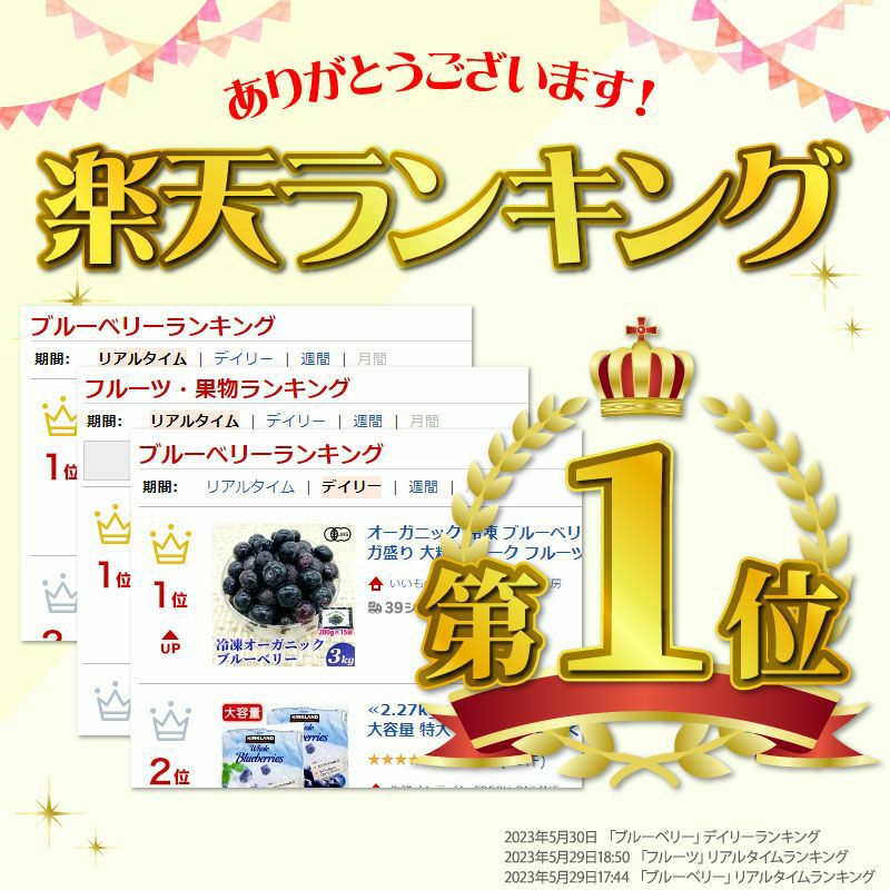 無農薬 冷凍オーガニックブルーベリー3kg（200g×15パック） 有機
