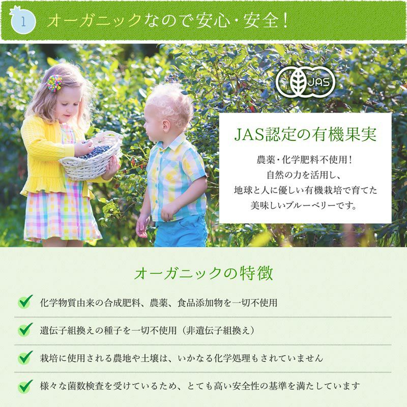 無農薬 冷凍オーガニックブルーベリー3kg（200g×15パック） 有機