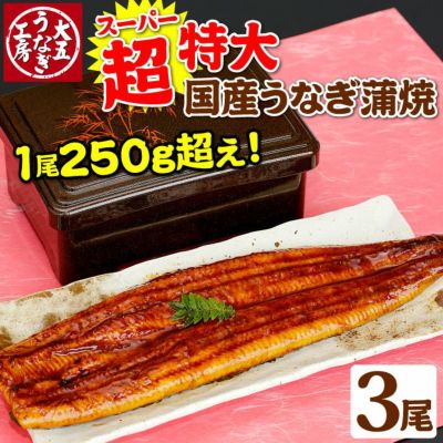 超特大うなぎ蒲焼250g以上 3尾セット ｜ うなぎお取り寄せなら大五