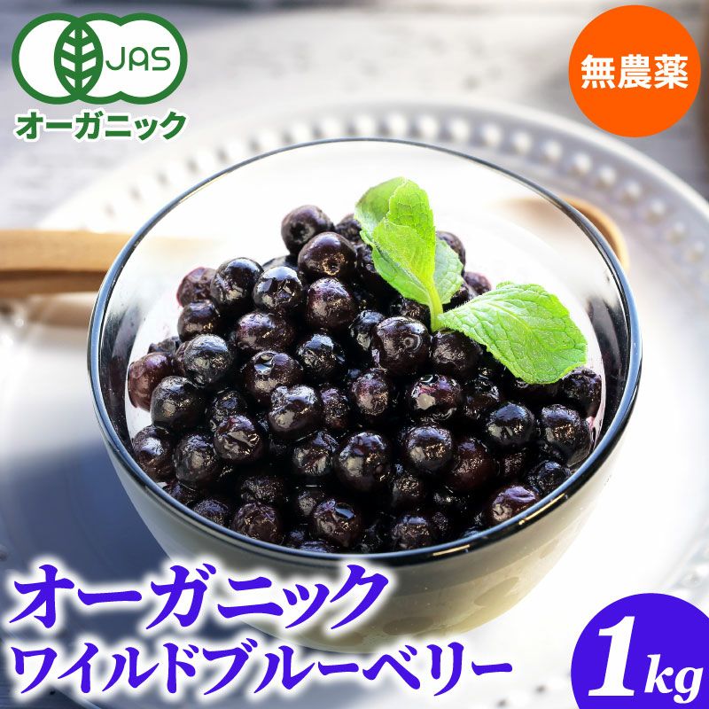 ☆令和7年 生ブルーベリー☆農薬不使用 5㌔ ✨終わります ☆令和7年  