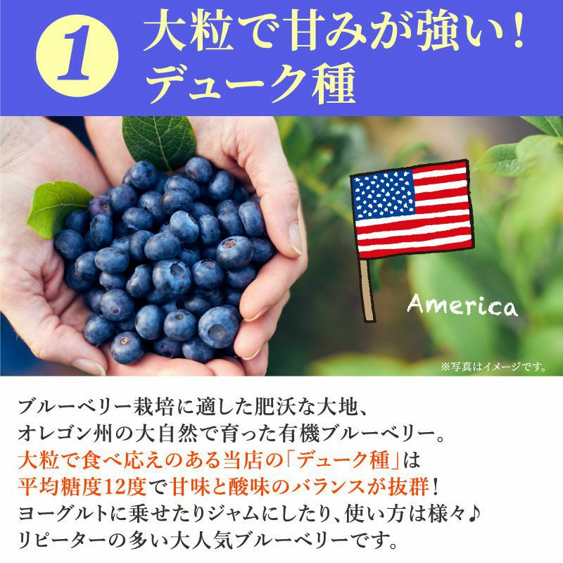 000000000655-09-l.jpg?t=