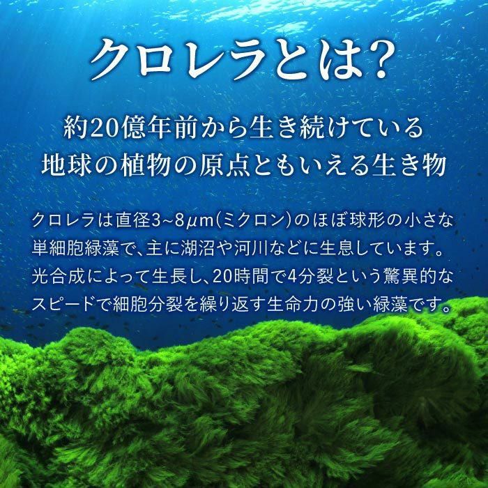 クロレラミン 2000mg 頼ま 400mg×5粒