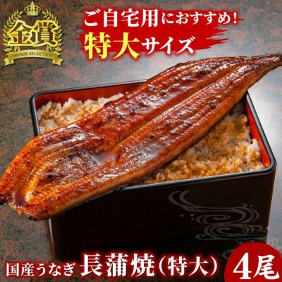 ５尾　鰻　国産　天然物 5尾 鰻 国産 天然物