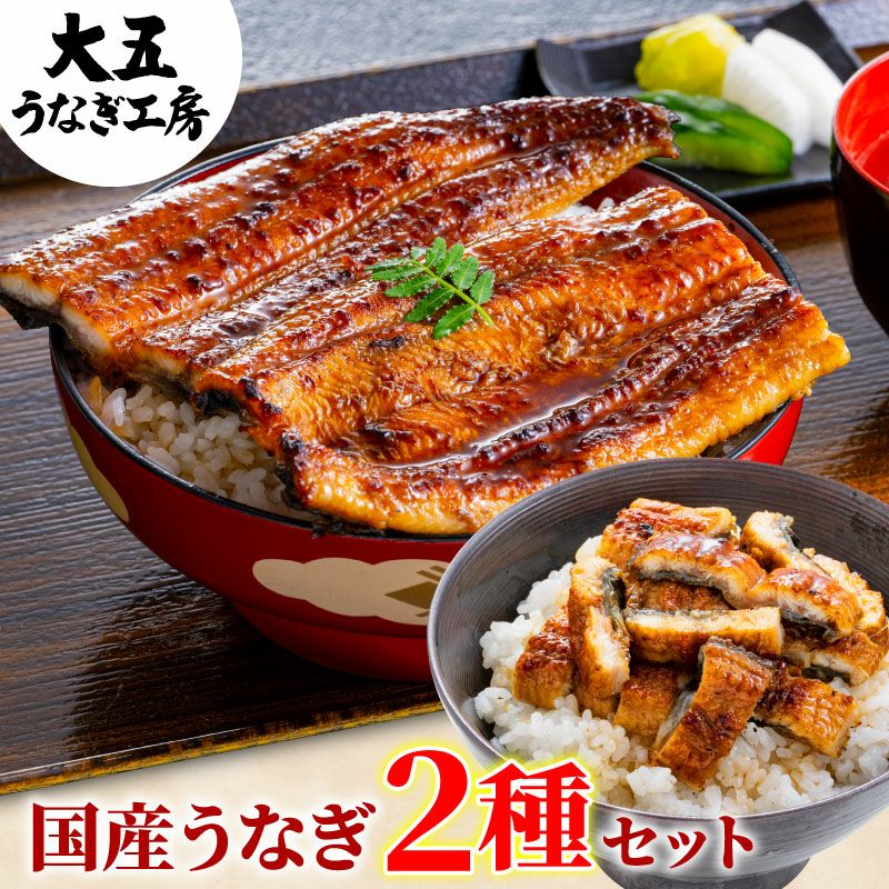 国産うなぎ蒲焼真空パック 大 2パック／箱 - やなのうなぎ観光荘